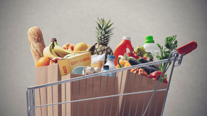 Grocery cart showing rising food prices caused by inflation.